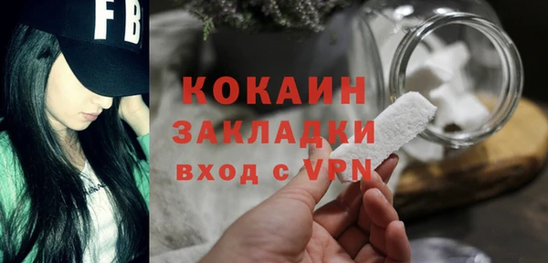 гидра Козловка