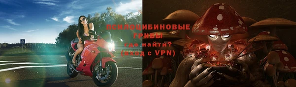 прущий лед Козельск