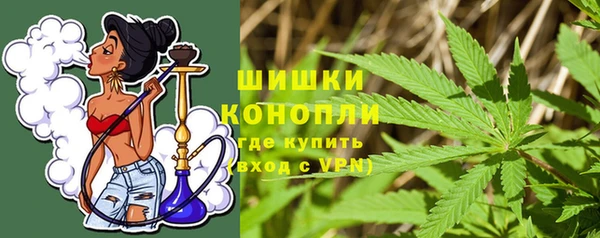 гидра Козловка