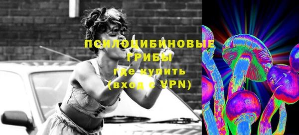 гидра Козловка